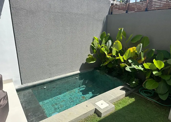 Salty Palms Villa